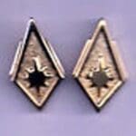 Two gold diamond-shaped pins with a sun.