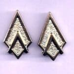 Pair of gold arrowhead shaped pins.